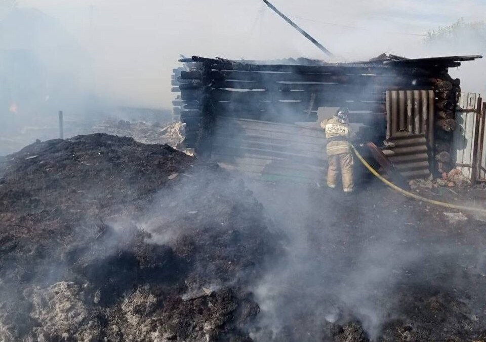 Противопожарная служба Тюменской области📷
