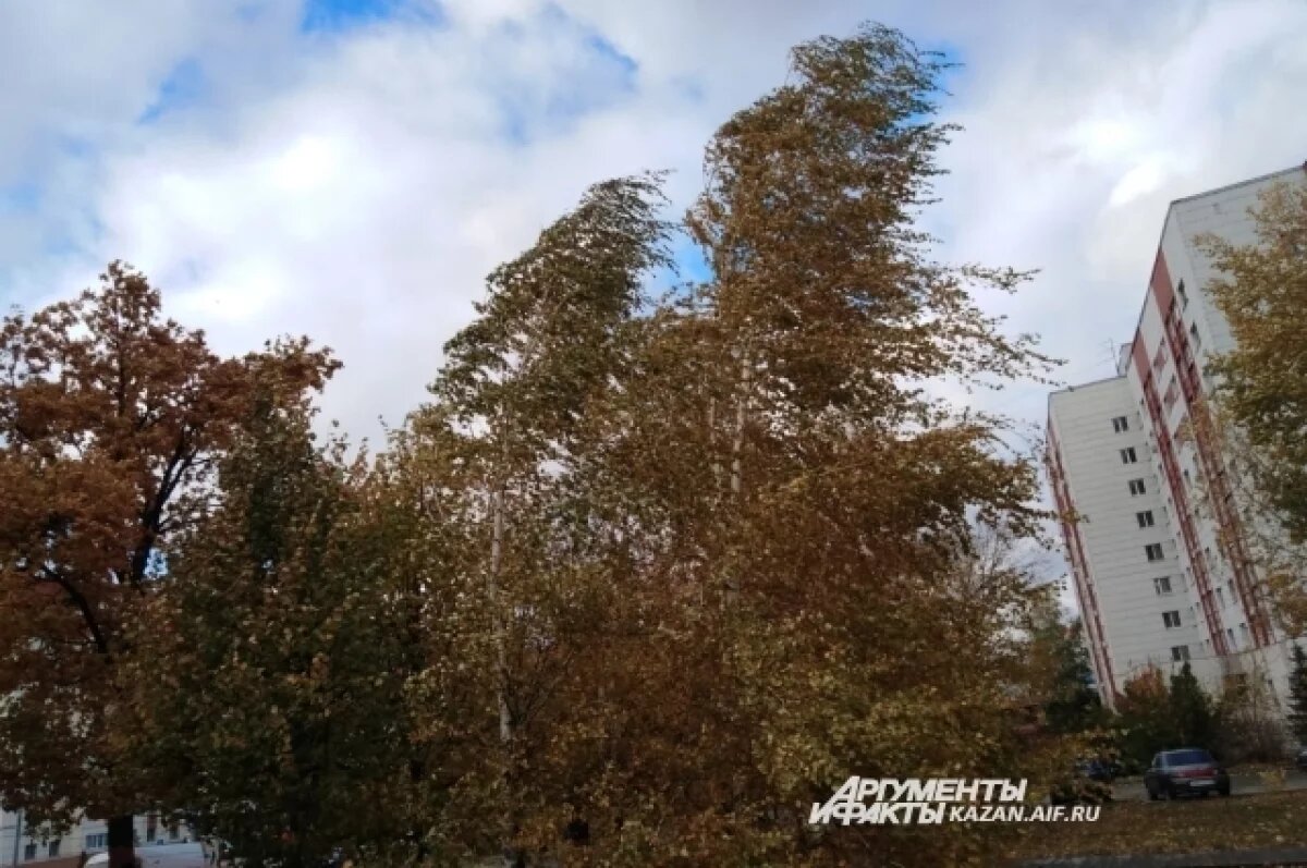    Метеорологи предупреждали о шквалистом ветре.