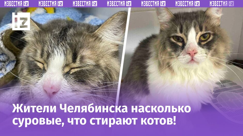 Фото: Телеграм-канал «Baza»