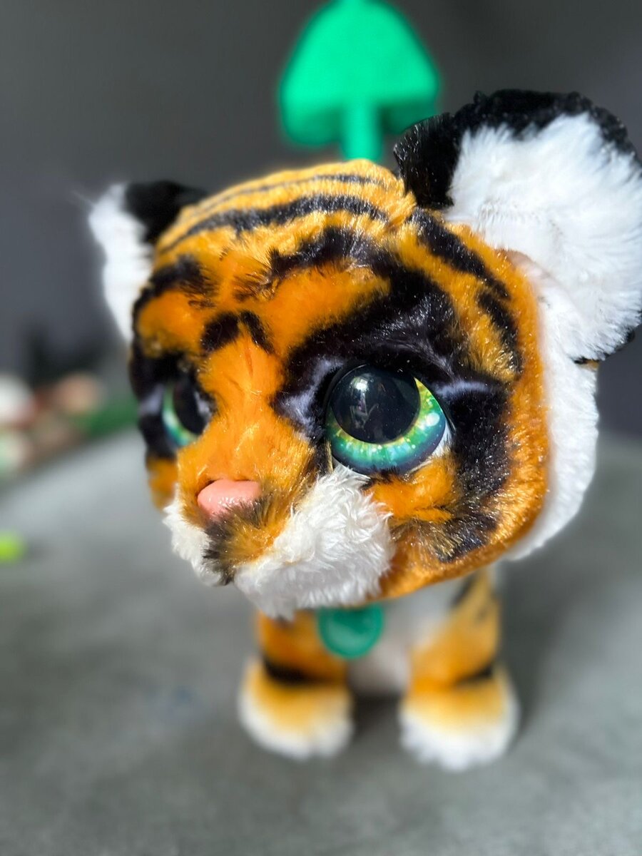 Личное фото