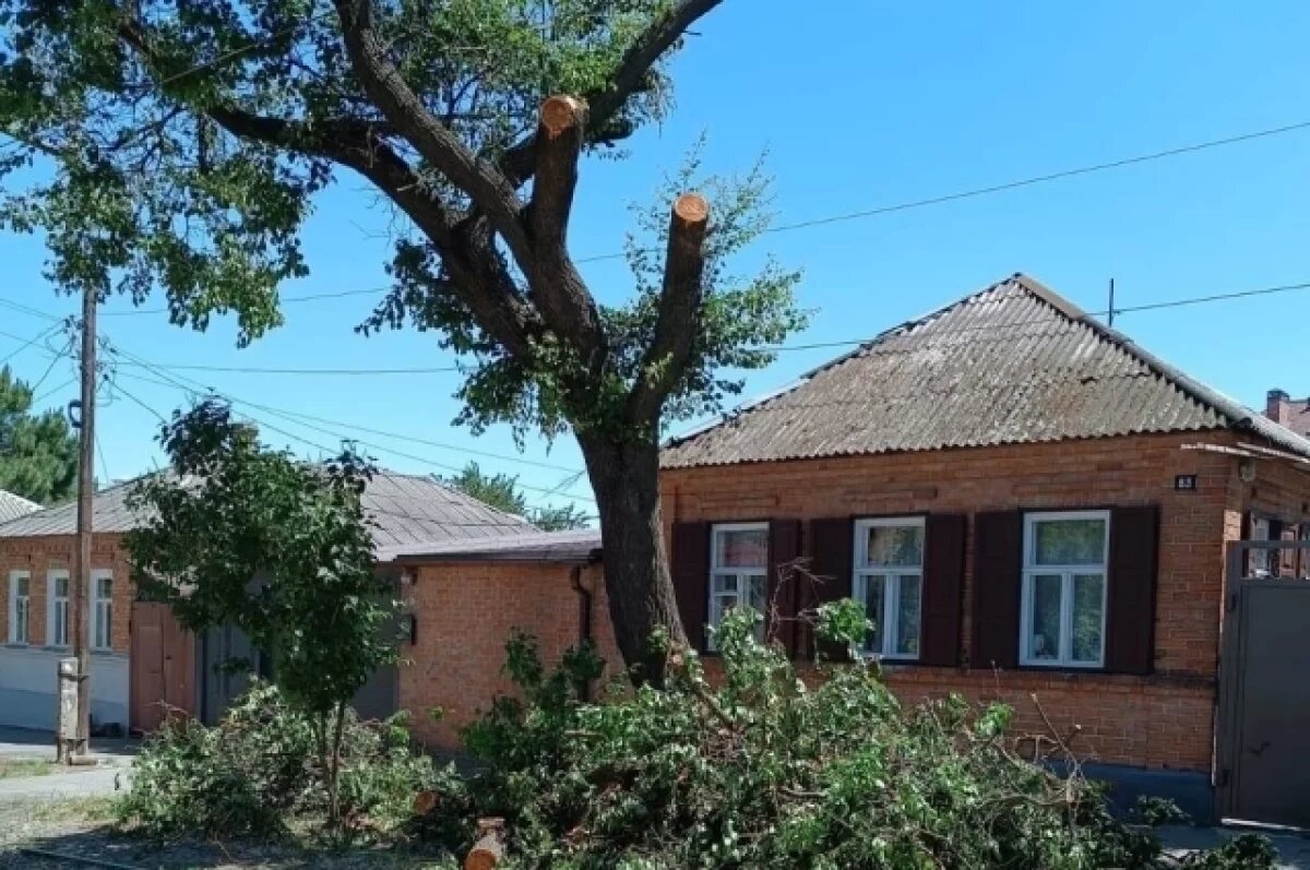    Последствия сильного ветра в Ростове-на-Дону.