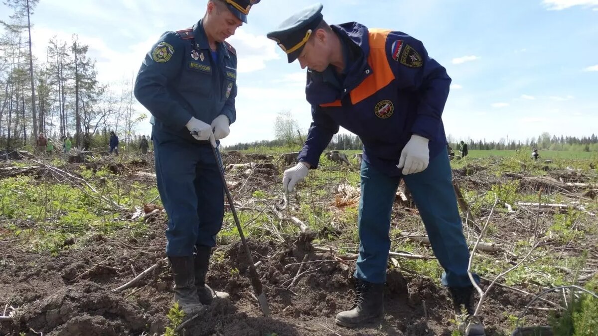     Источник: Пресс-служба главы и правительства Удмуртской Республики