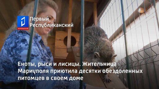 Télécharger la video: Еноты, рыси и лисицы. Жительница Мариуполя приютила десятки обездоленных питомцев в своем доме