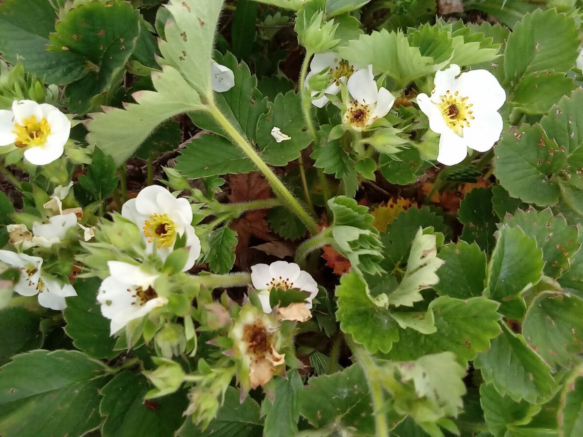 Фото предоставлено автором