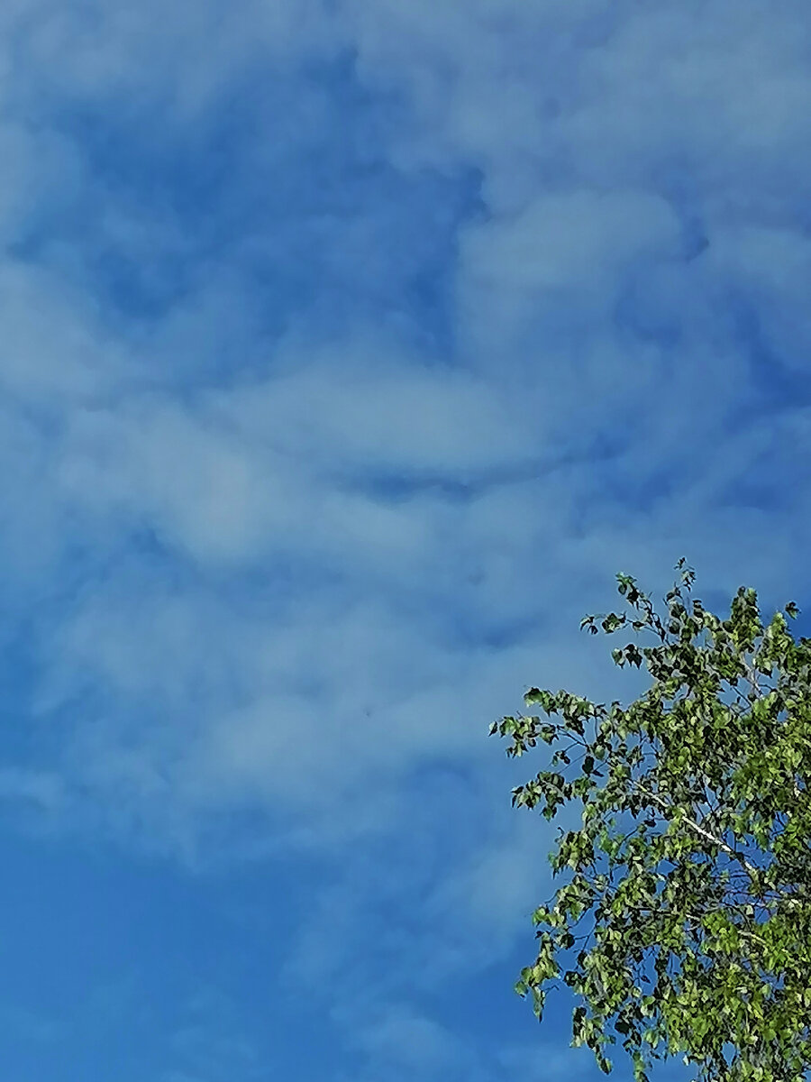 Улыбка - фото автора