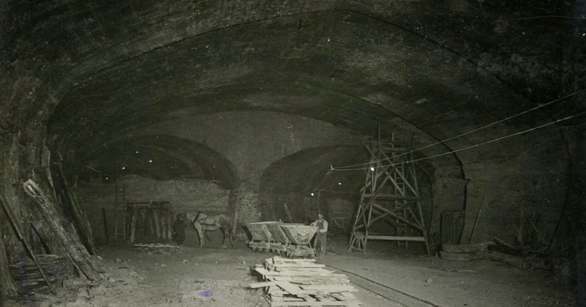 Изображение взято из открытого источника 