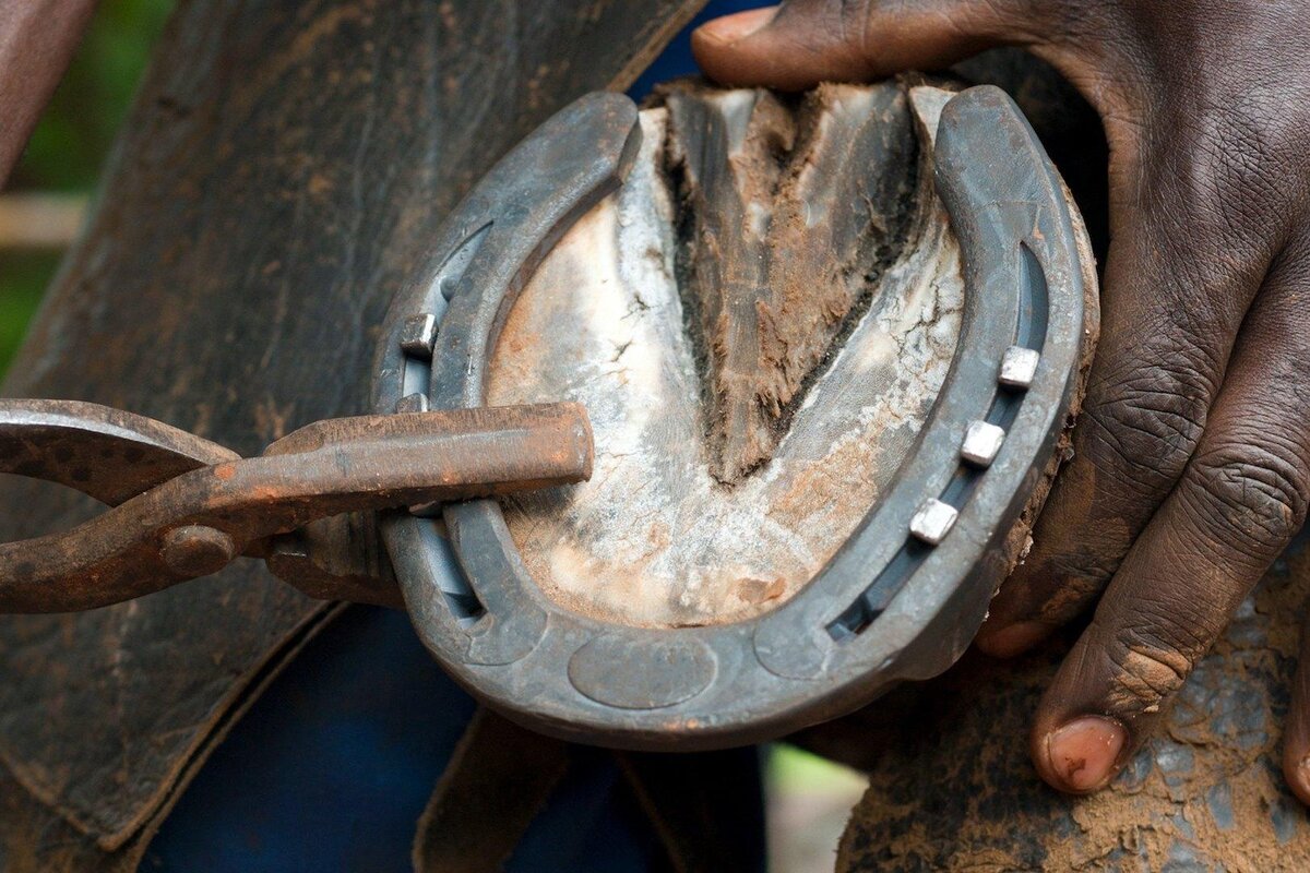 Из открытых источников.