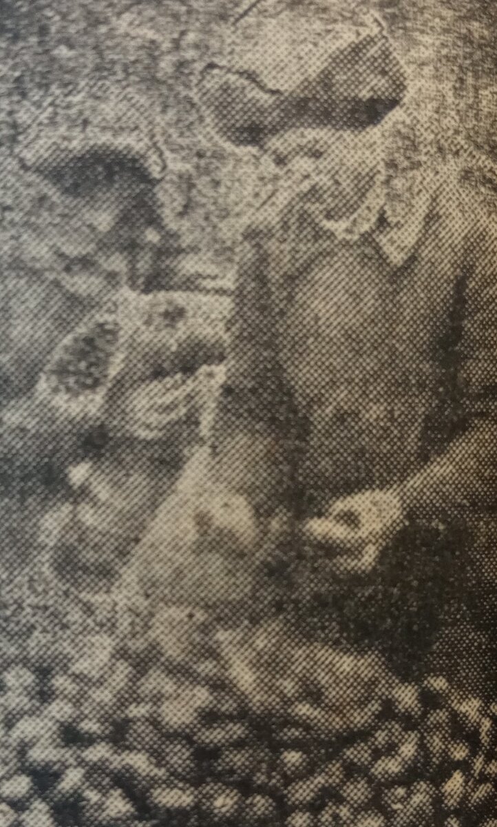 На фото самодуровский колхозник перебирает лук.