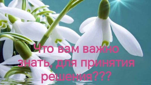 Стоит ждать мужчину?