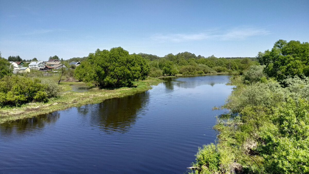 Р. Нерская в мае 2024 года, фото автора