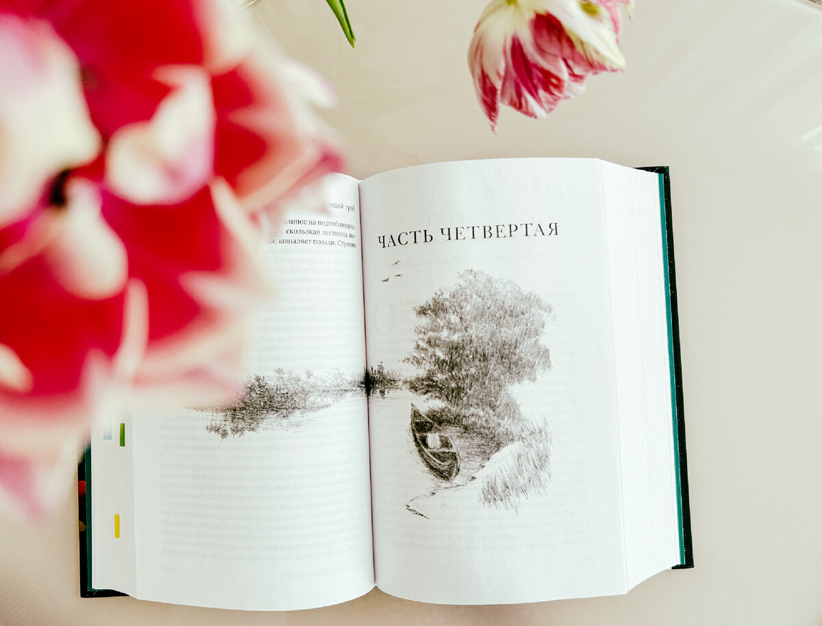 Иллюстраций хоть и мало, но они прекрасно дополняют текст. Книга сделана с душой!