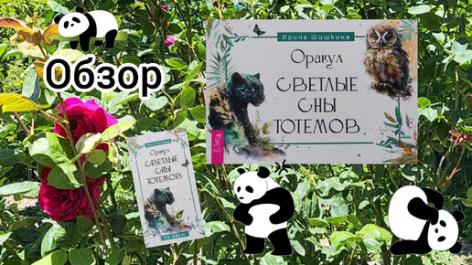 Оракул светлые сны тотемов - обзор 🐈‍⬛🐇🐕🐅🦉 Полный восторг😍 Любовь с 1 взгляда💓💓💓