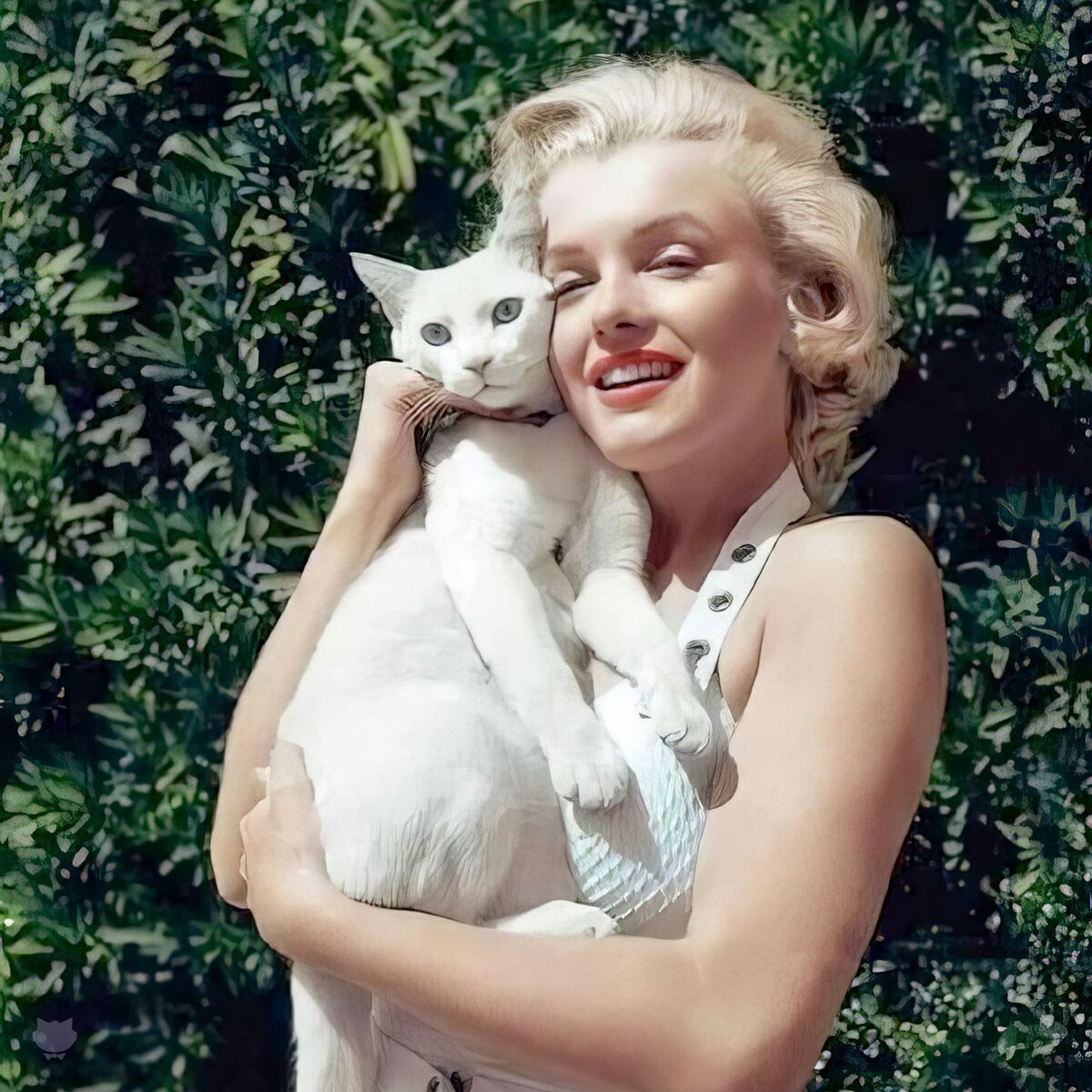 Фото в открытом доступе