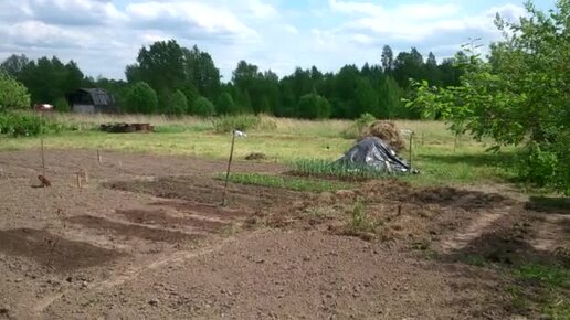 Очередное архивное видео из летописи проекта Сапуново. Весенние посадки. Посадили разное. 24052018.