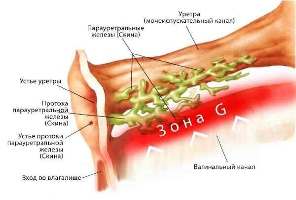 Меланома кожи