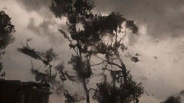    © Фото : Юлия Кондакова