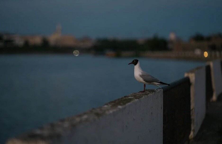    Погода в Ижевске на день: 26 мая ждем дождь и до +15°С