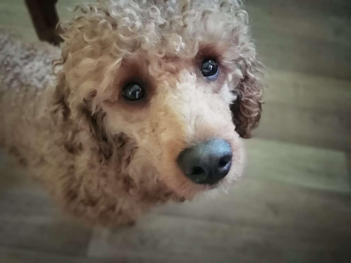 Румпель: - Движение - жизнь...