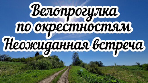 Велопрогулка по окрестностям 🚴 Неожиданная встреча 🤔