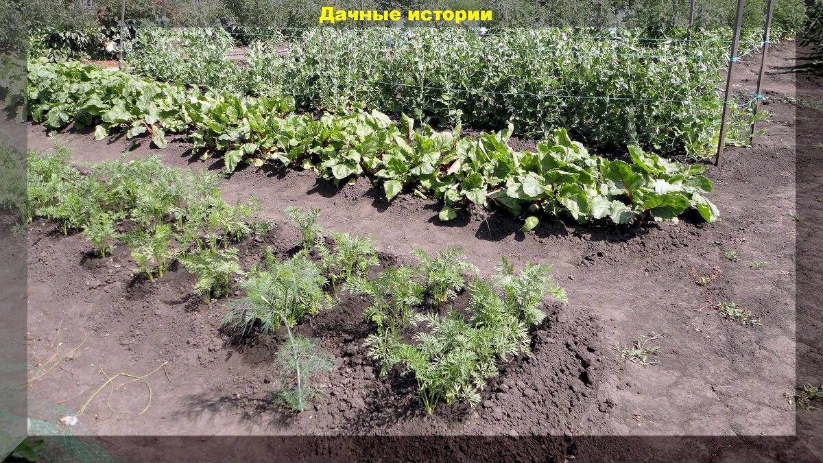 https://vk.com/photo-159774511_457265646