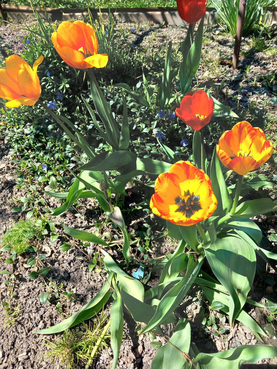 Нет, не эти. Фото автора