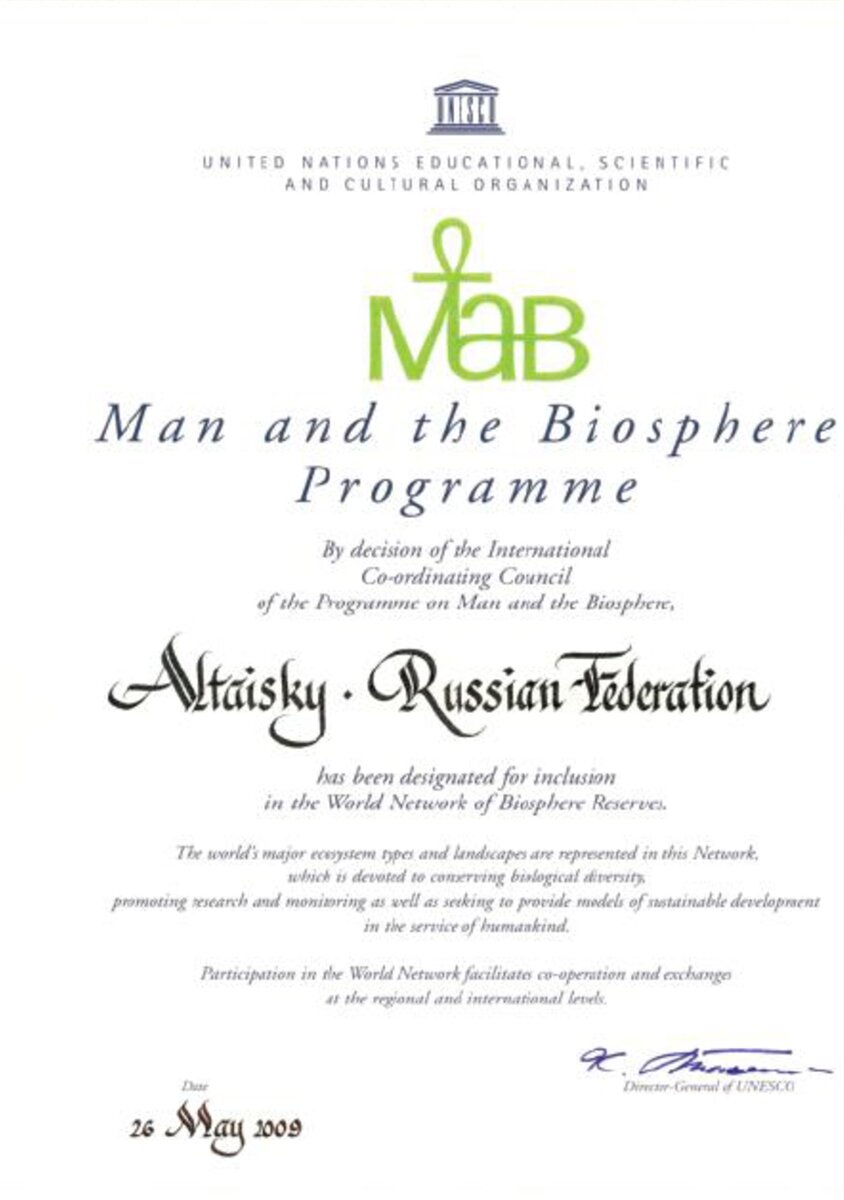 Пятнадцать лет назад, 26 мая 2009 года, решением 21-ой сессии Международного координационного совета Программы ЮНЕСКО «Человек и биосфера» (МАБ) Алтайский заповедник был включен во Всемирную сеть...