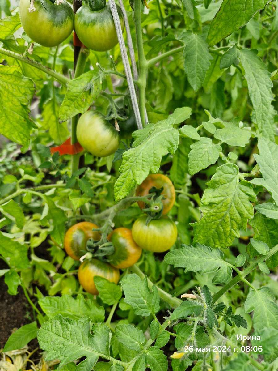 Казабалыкский