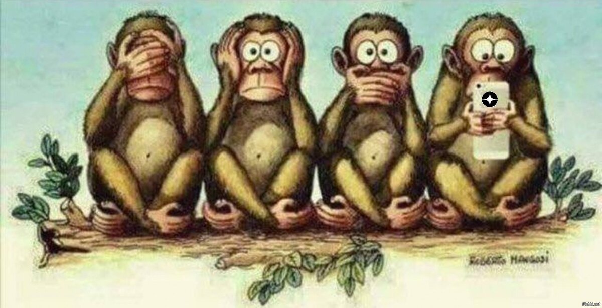 изображение из свободных источников в интернете