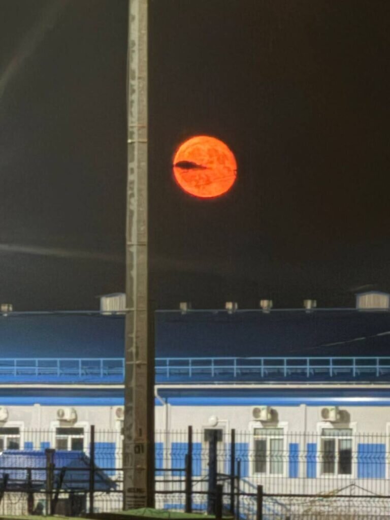    Фото: телеграм-канал «Непростой Свободный»