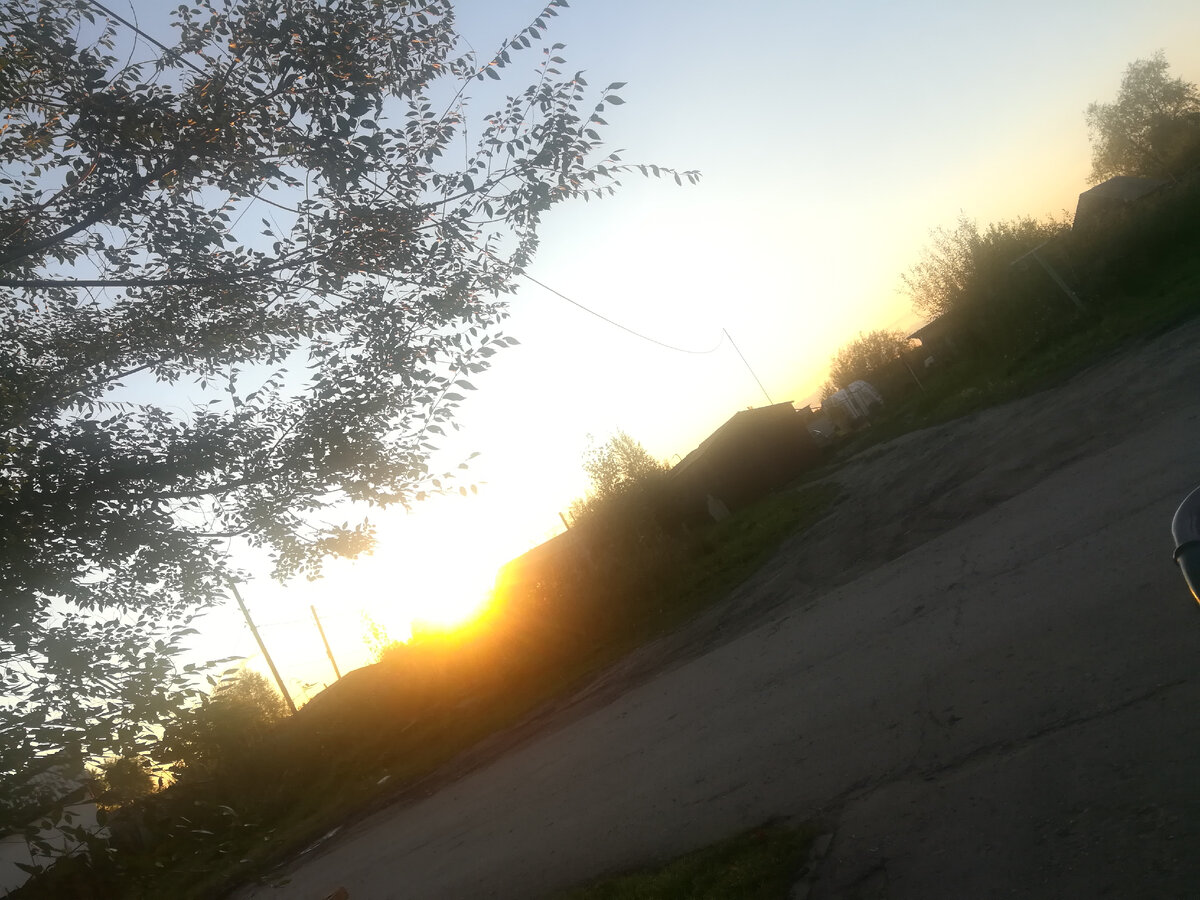 Качество фото желает лучшего