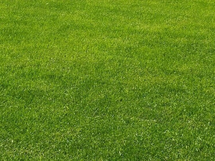     Фото: архив "МК в Калуге"