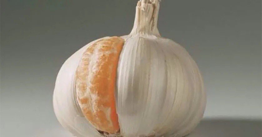 ���� ���� ���������, ��� ����� ���� ����� �� ����� ������ ��������: ������ ��������