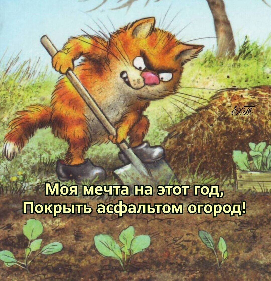 Прислали в ватсап)) 