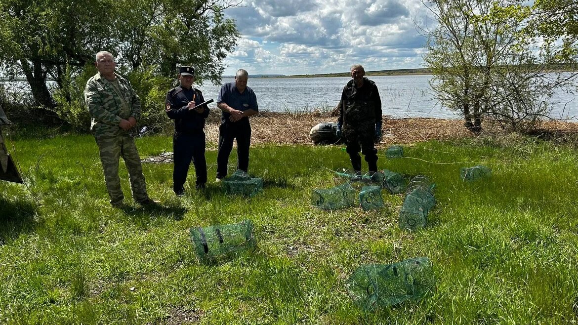    Тысячу раков спасли от браконьеров полицейские в Ясненском округе и выпустили в реку Белов Михаил Александрович