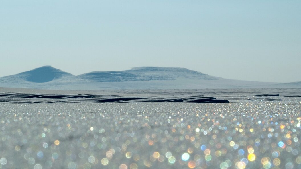    © Serguei Fomine/Globallookpress