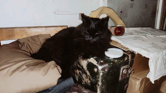 Листайте вправо, чтобы увидеть больше изображений