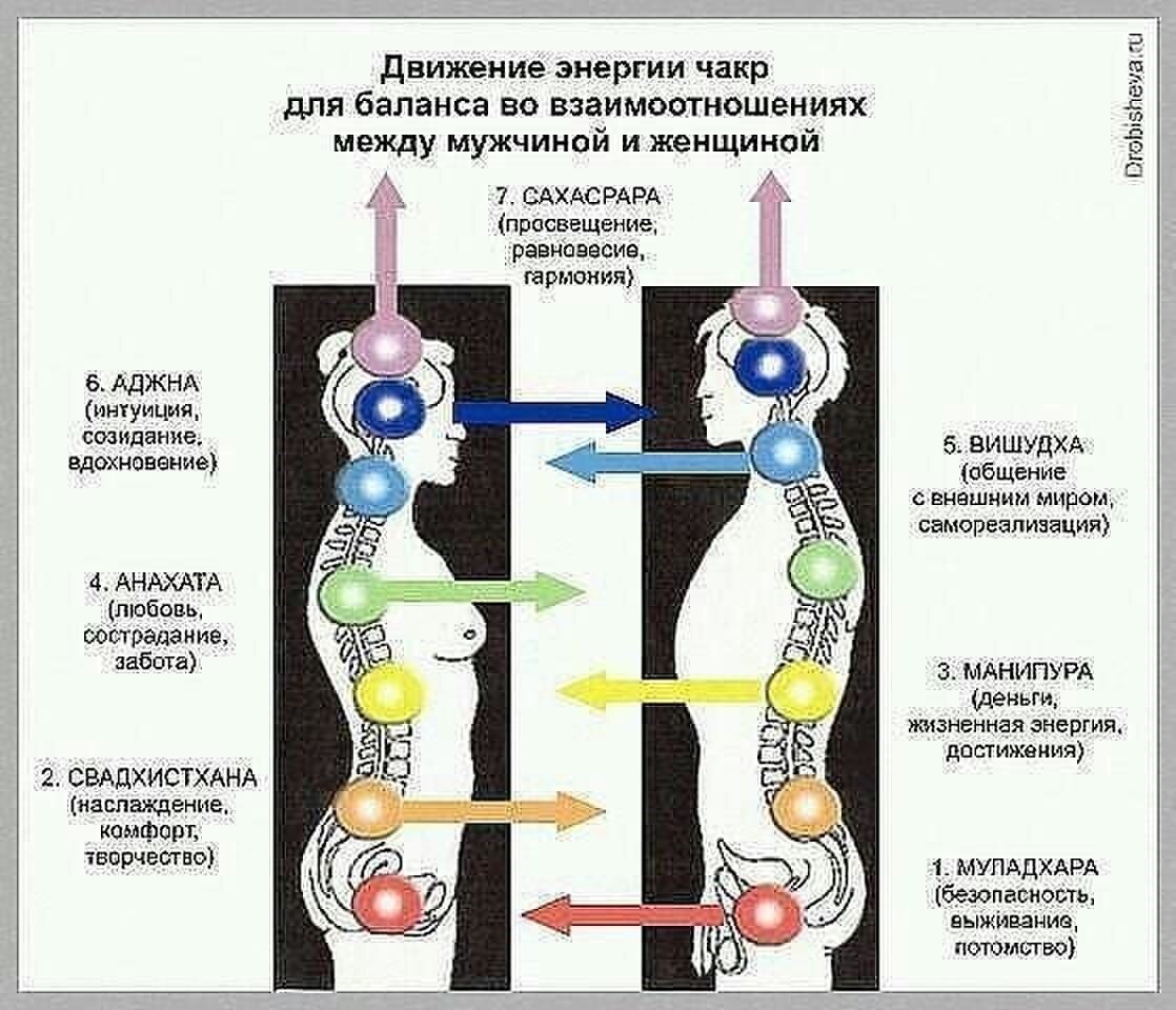 рис.1 Движение энергии чакр для баланса во взаимоотношениях между  мужчиной и женщиной 