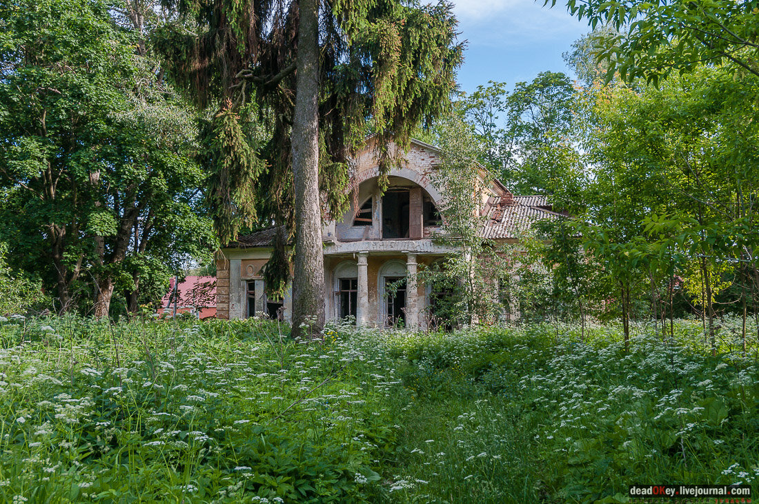 фото из интернета