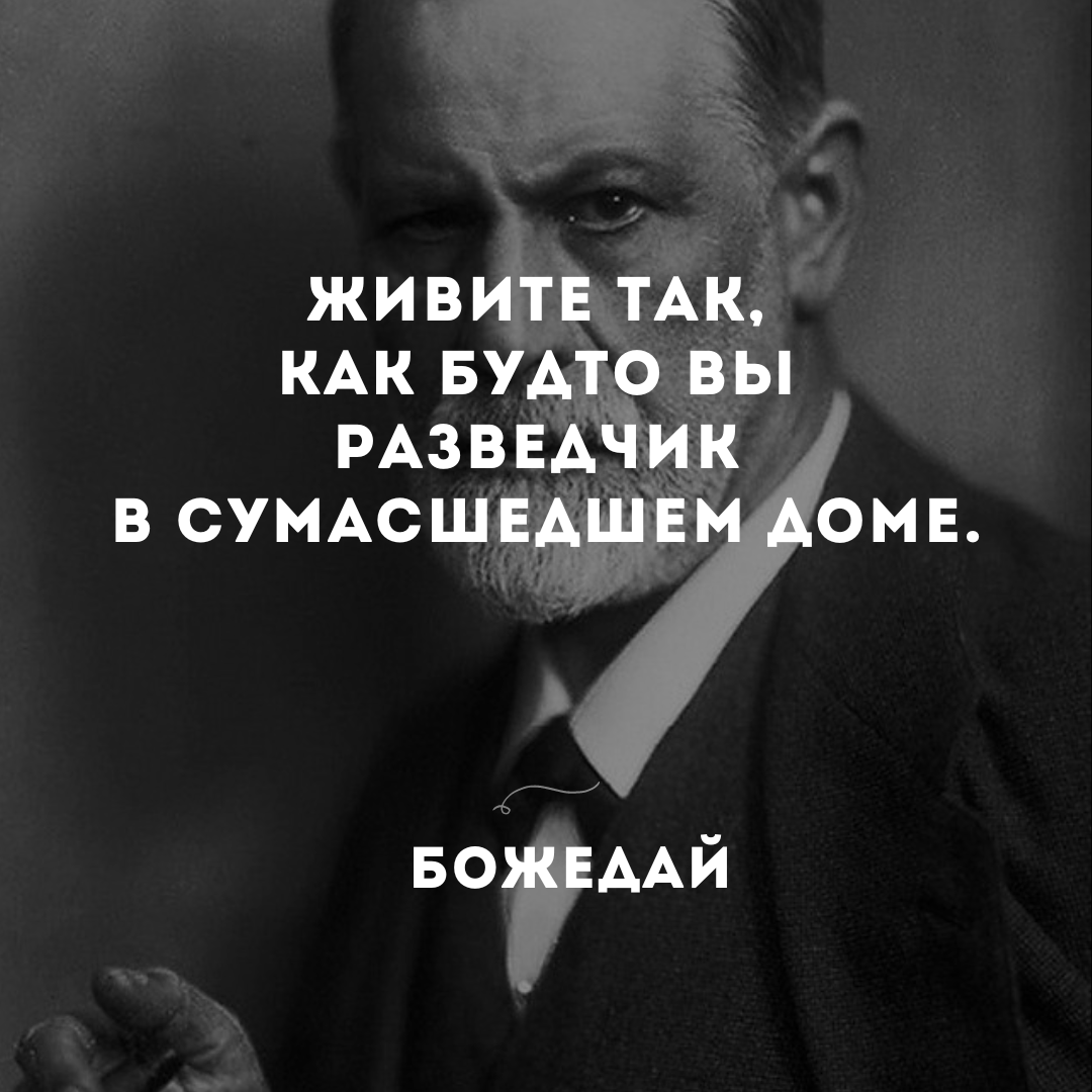 Мудрость - это когда ты всё понимаешь, но уже на всё положил | Наша  Психология | Дзен