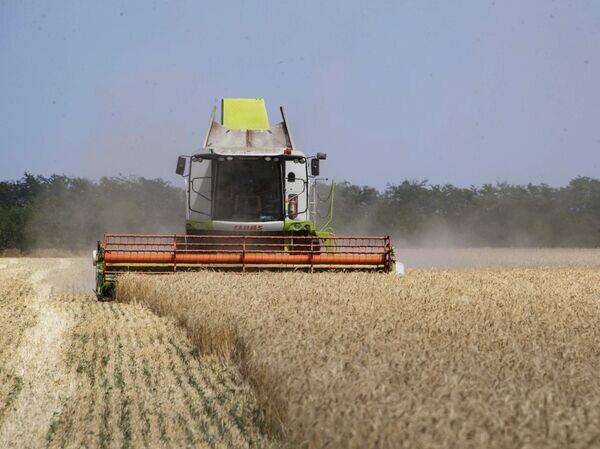    © РИА Новости Дмитрий Макеев