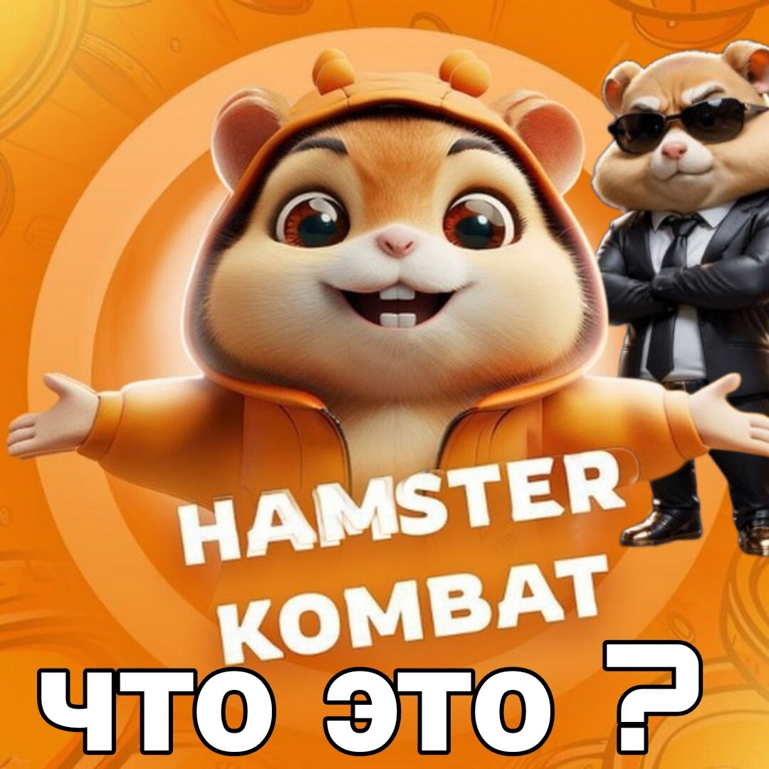 Что за игра Hamster Kombat: сколько можно заработать | Evgenii artemev |  Дзен