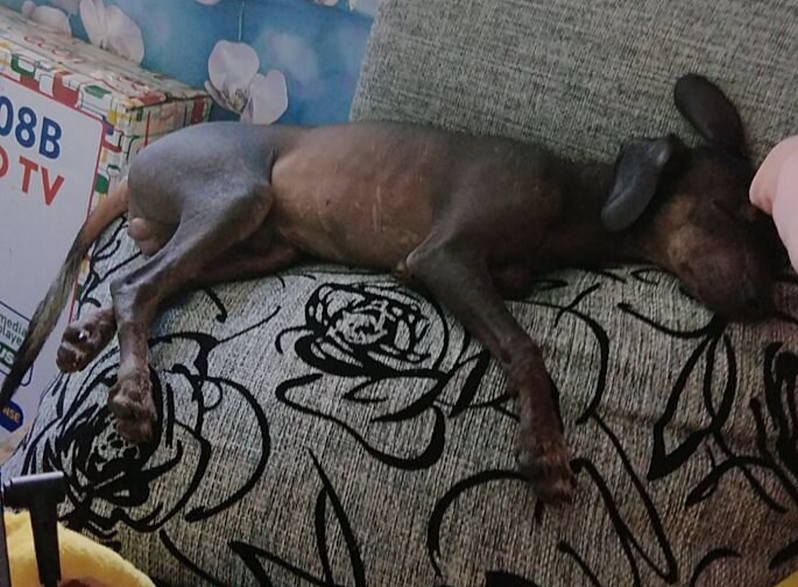 Победитель конкурса - обладатель альбома с картинами Валентина Губарева. Подпись к фото: "Голая правда. Знак препинания нужен?"