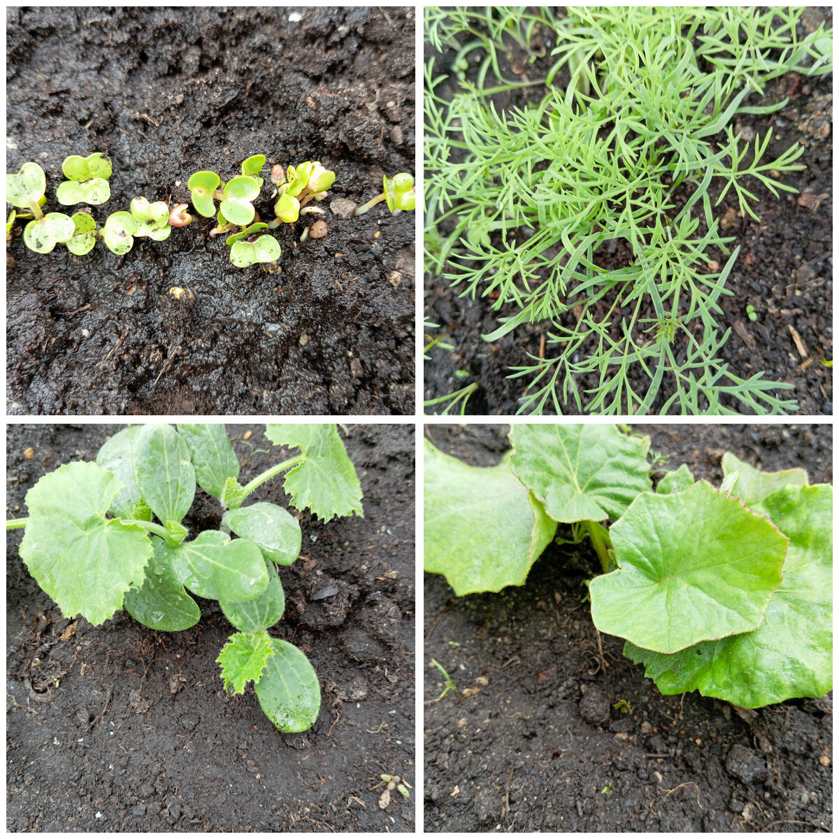 Моё добро по одному экземпляру