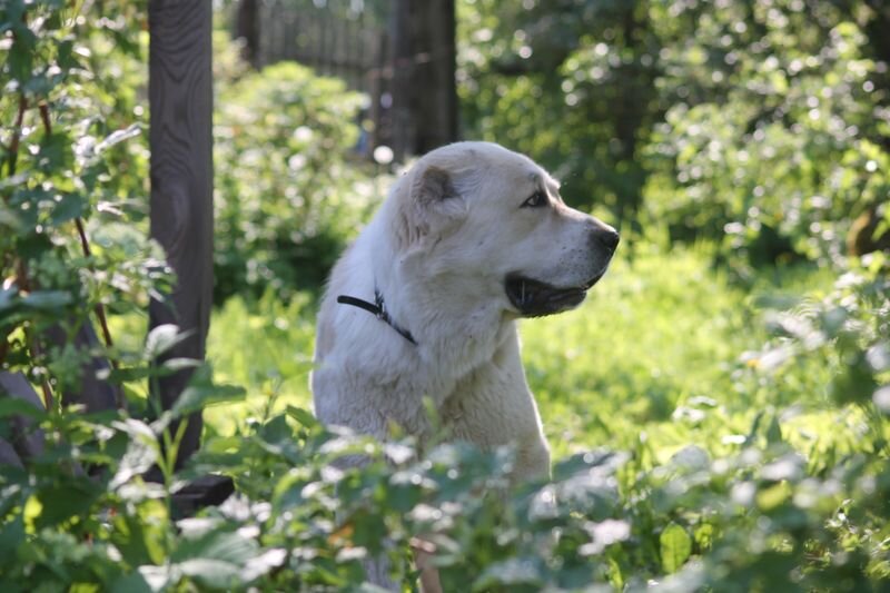 Зара сказала, что ей в тени комфортнее, чем на солнце