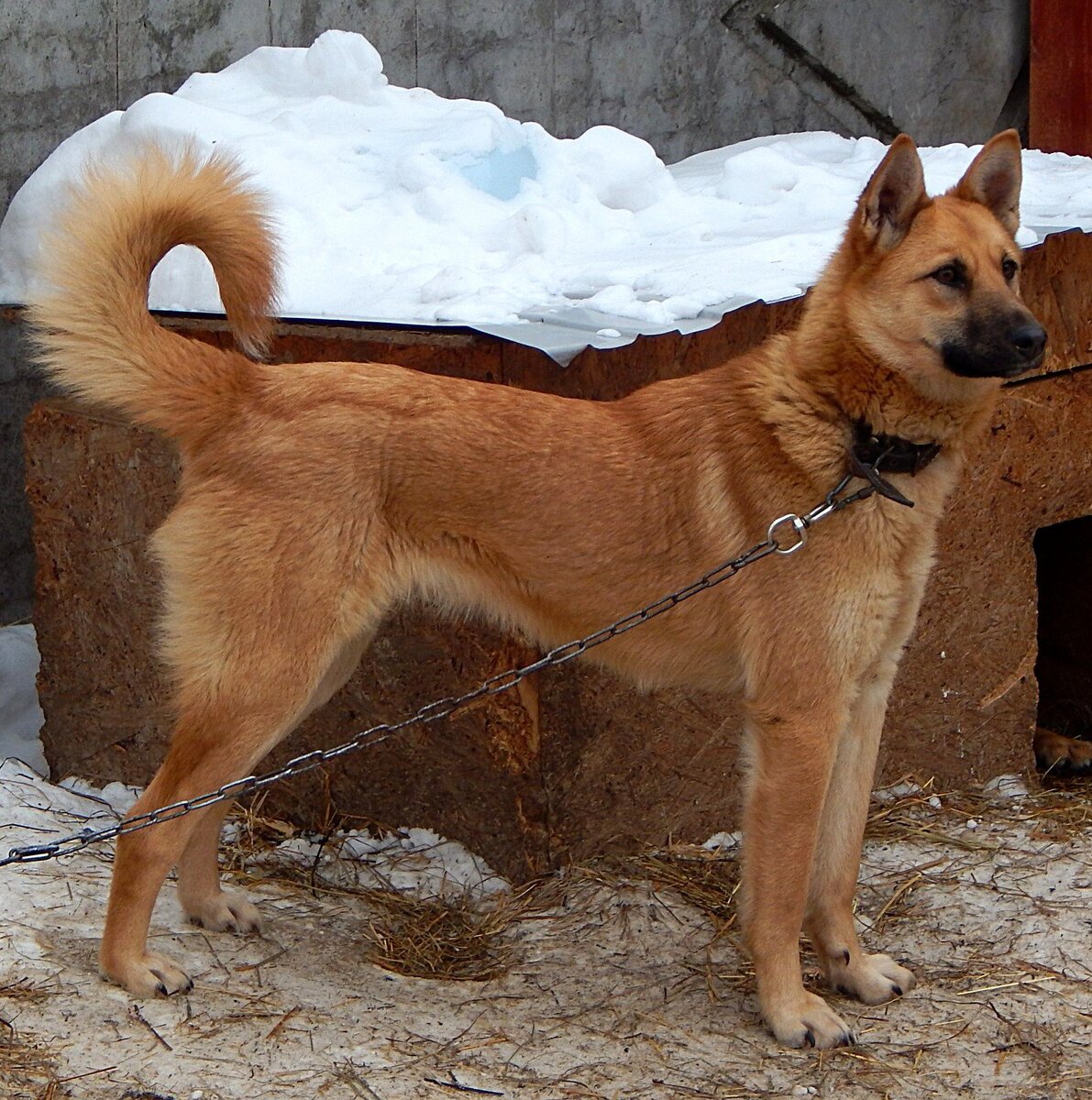 Марта