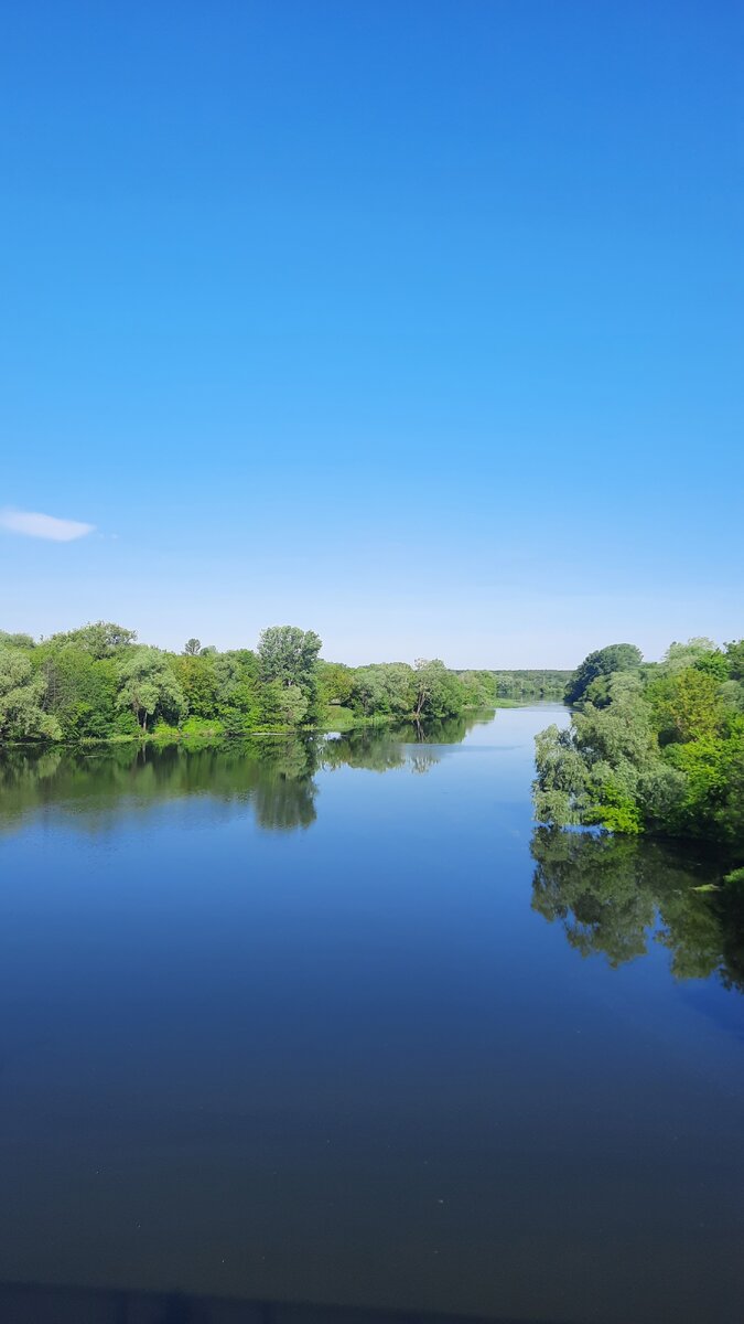 Река Сейм. Фото автора.