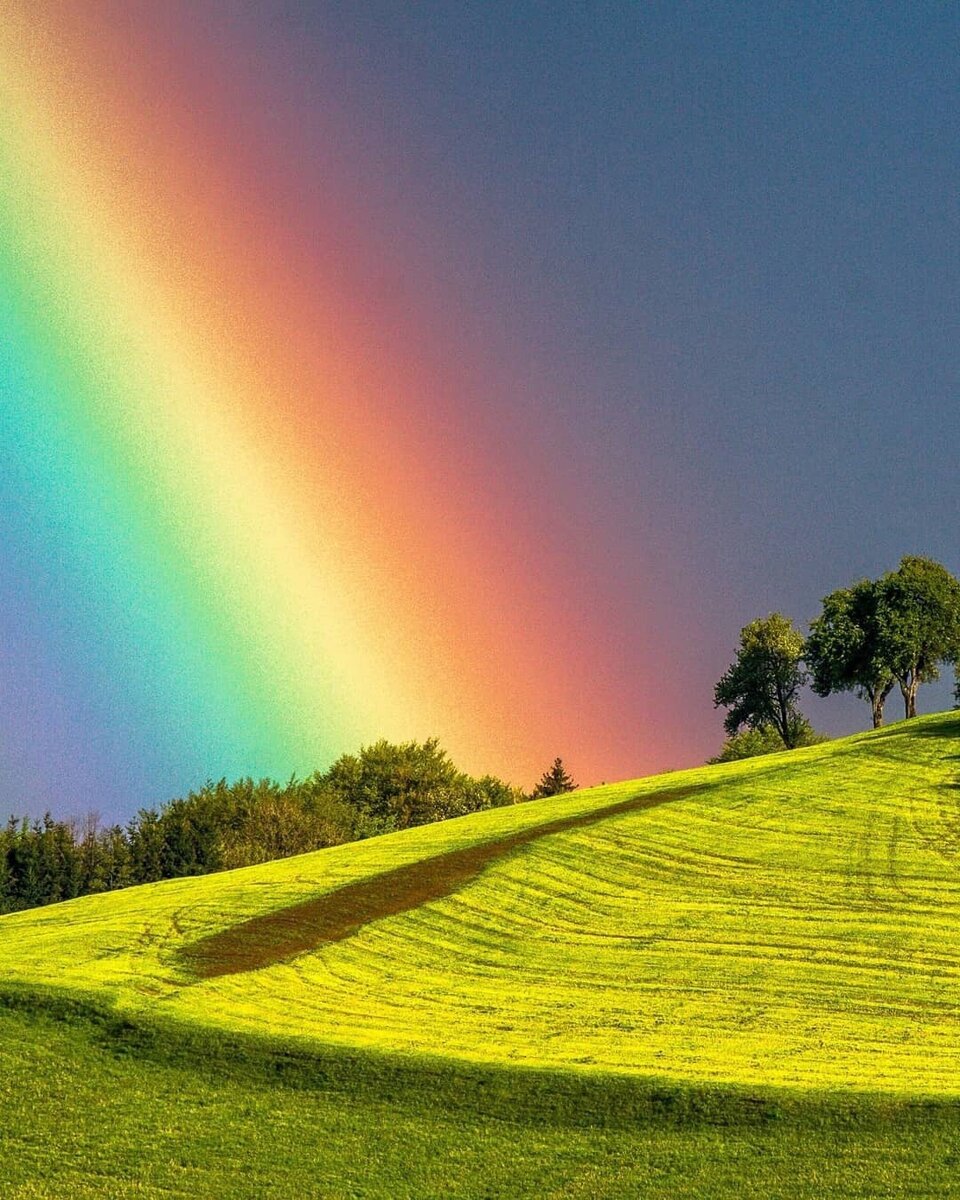 фото из открытого доступа