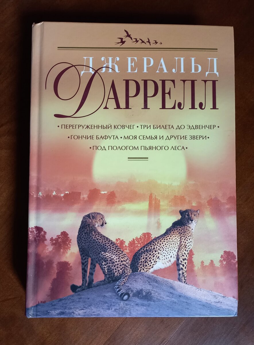 Фото и книга автора