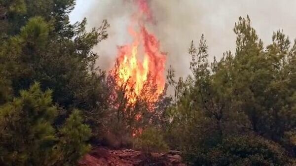    © Sputnik / Туран Салджи