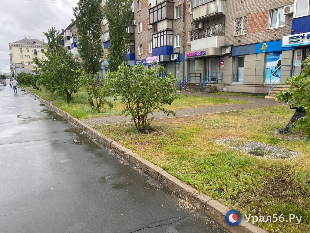 В Орске усилили работы по выкосу травы. В каком состоянии улицы города? |  Урал56.Ру | Оренбург, Орск - главные новости | Дзен